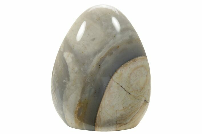 Tall, Free-Standing, Polished Jasper - Madagascar #230186